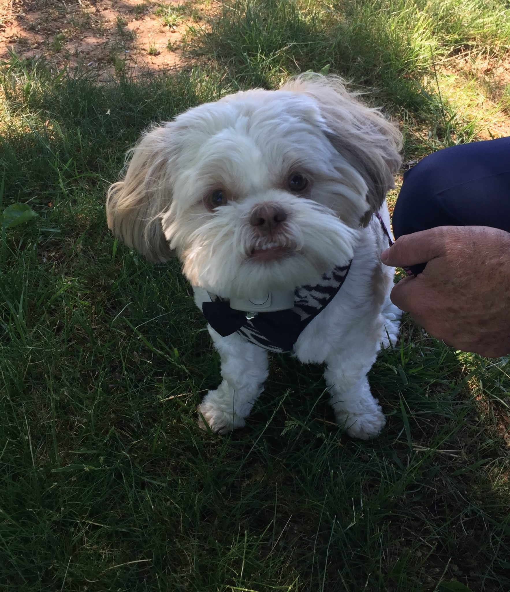 Cuddles of Rineyville, KY is enjoying her Electric Underground Pet