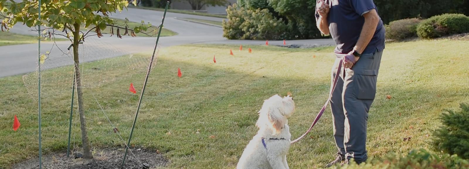 Link Receiver™ App and Pet Stop® Ecolite™ Unseen Fencing